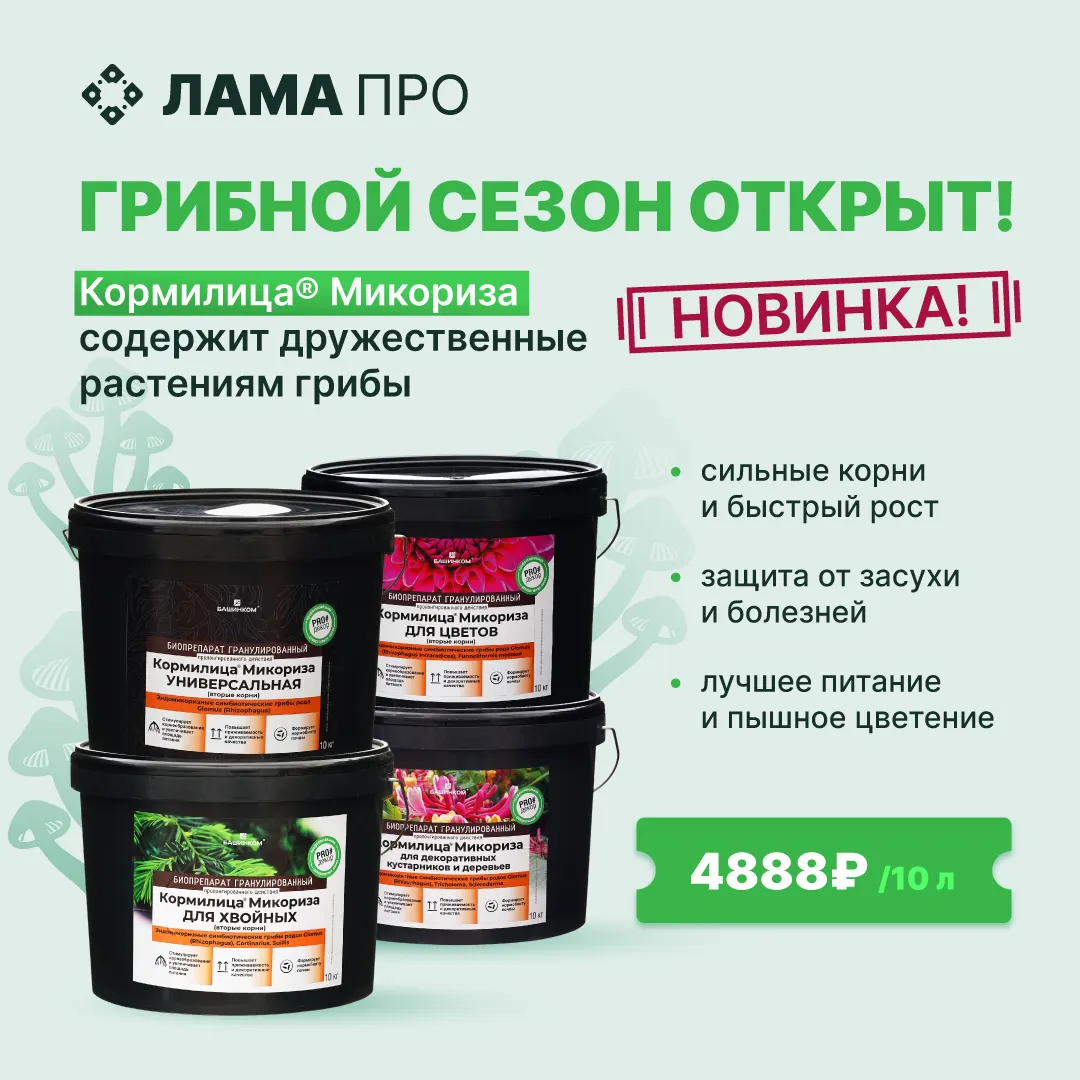 Новинка! "Кормилица микориза", ускоряющая рост растений!